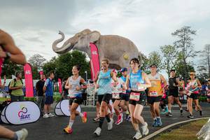 BIB: 
                            <button type="button" onclick="openModal(26528313)" class="btn btn-primary btn-sm float-right btn-popup" data-toggle="modal" data-target=".modal-high-quality">
                        <i class="fas fa-shopping-cart"></i> Add to Cart
                    </button>
                                            <button type="button" onclick="isThisMe(26528313, true)" class="btn btn-success btn-sm float-right btn-popup btn-isme hidden" data-toggle="tooltip" data-placement="bottom" title="นี่คือรูปของคุณใช่ไหม คลิกที่นี่เพื่อเอาเข้าอัลบั้ม">
                        <i class="fas fa-plus"></i> Add to album
                    </button>
                    <button type="button" onclick="isThisMe(26528313, false)" class="btn btn-warning btn-sm float-right btn-popup btn-isnotme hidden">
                        <i class="fas fa-ban"></i> Remove from album
                    </button>